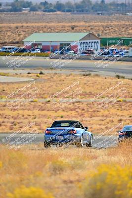 media/Nov-16-2024-Extreme Speed (Sat) [[6587d07cc4]]/Purple Group/Session 1 (Turn 2)/